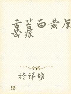 舌苔白黄厚腻有齿痕