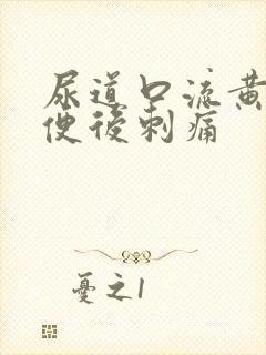 尿道口流黄脓小便后刺痛