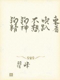 狗狗不吃东西没精神想趴着只喝水