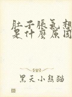 肚子胀气想放屁是什么原因