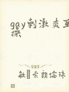 gay刺激爽互操