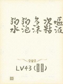 狗狗多次呕吐黄水泡沫粘液没有食欲