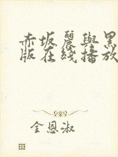 赤坂丽与黑人原版在线播放