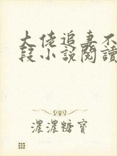 大佬追妻不择手段小说阅读无弹窗