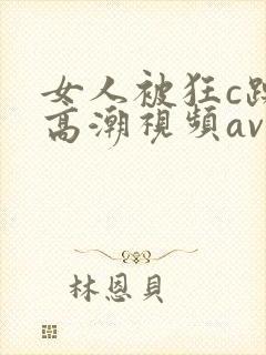 女人被狂c躁到高潮视频av