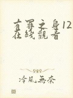 有罪之身12集在线观看