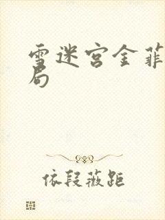 雪迷宫金菲的结局封面