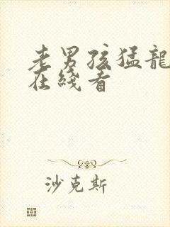 老男孩猛龙过江在线看封面