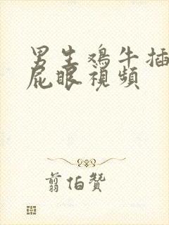 男生鸡牛插女生屁眼视频