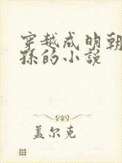 穿越成明朝皇太孙的小说