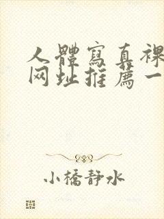 人体写真裸体的网址推荐一下