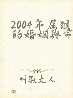 2004年属猴的婚姻与命运