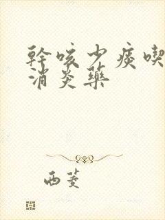 干咳少痰吃什么消炎药封面