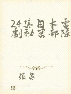 24集日本电视剧秘密部队