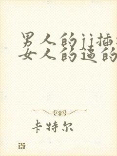 男人的jj插进女人的逼的高清视频