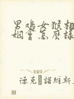 男鸡女猴相配婚姻会怎么样封面