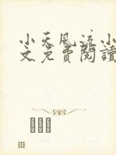 小天风流小说全文免费阅读无弹窗