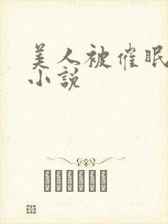 美人被催眠洗脑小说封面