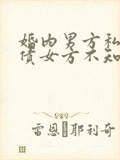 婚内男方私自借债女方不知情怎么办封面