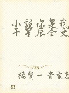 小说你是我的万千星辰全文免费阅读