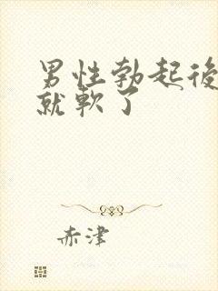 男性勃起后一下就软了