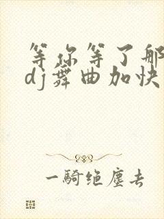 等你等了那么久dj舞曲加快