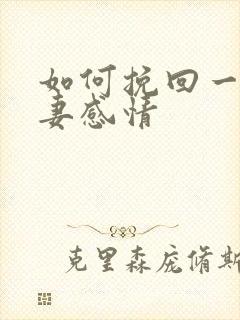 如何挽回一段夫妻感情