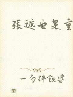 张遮也是重生吗封面