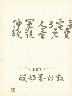 伸冤人3电影在线观看免费完整版封面