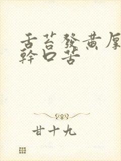 舌苔发黄厚腻口干口苦