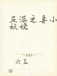 反派之妻小说木妖娆