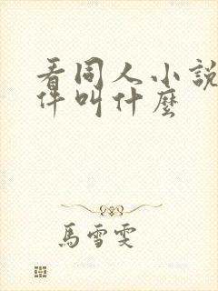 看同人小说的软件叫什么