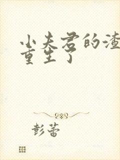 小夫君的渣攻他重生了封面