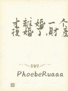 才离婚一个月又复婚了,财产怎么算