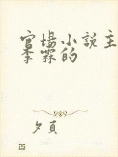 官场小说主角叫李霖的