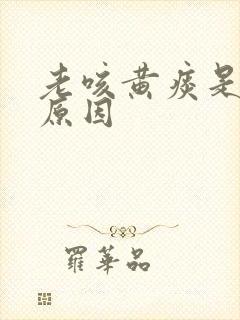 老咳黄痰是什么原因封面