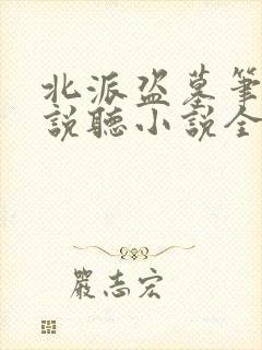 北派盗墓笔记小说听小说全集