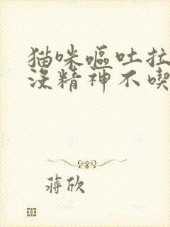 猫咪呕吐拉肚子没精神不吃东西怎么办