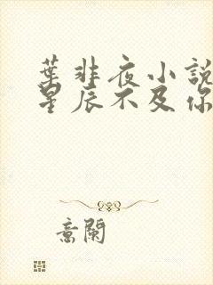 叶非夜小说亿万星辰不及你