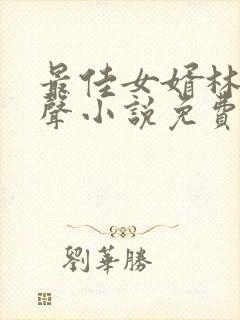 最佳女婿林羽有声小说免费听