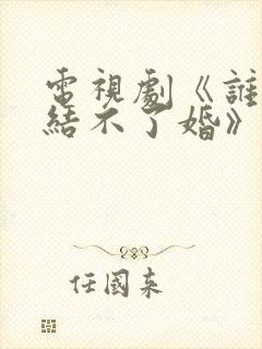 电视剧《谁说我结不了婚》封面