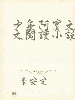 少年阿宾文全全文阅读小说