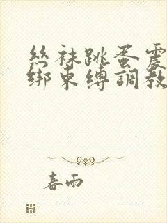 丝袜跳蛋震动捆绑束缚调教封面