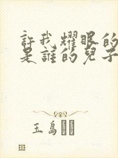 许我耀眼的辰辰是谁的儿子