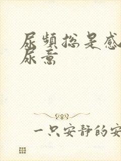 尿频总是感觉有尿意封面