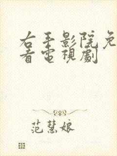 右手影院免费观看电视剧