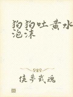 狗狗吐黄水带白泡沫