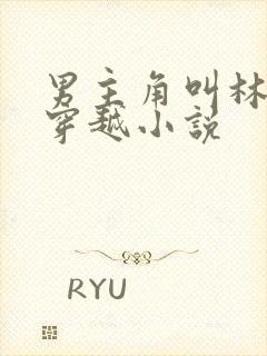 男主角叫林渊的穿越小说封面