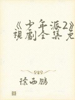 《少年派2》电视剧全集免费封面