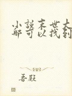 小说末世大回炉哪可以找到封面